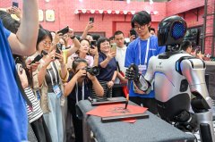 为处理当前全球AI平安尺度碎片化问题供给了 