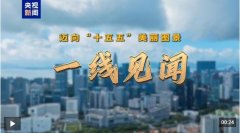 鞭策文化扶植数智化赋能、消息化转型；让几千 